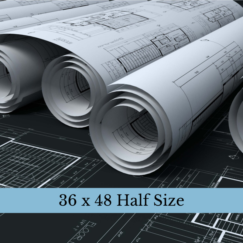 50% Reduction to 18x24 Color